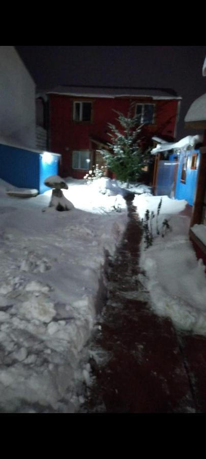 Ushuaia Centro Complejo De Cabanas エクステリア 写真